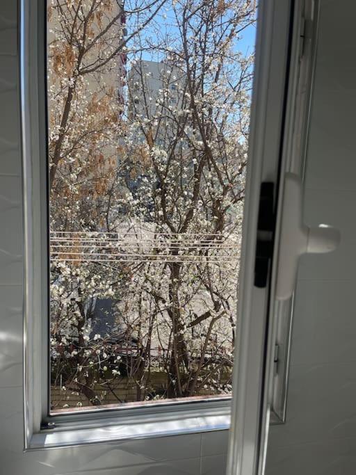 Warm Apartment In The Center Of Tirana City Екстериор снимка